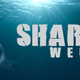 Illustration for article titled It’s iShark Week/i, so that makes things pretty easy